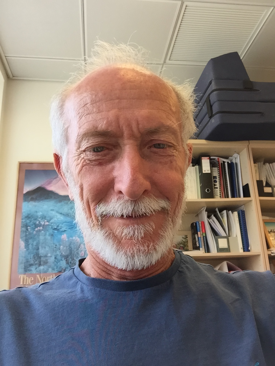 פרופ' אמנון מייזלס